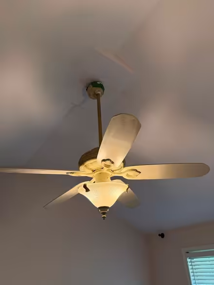 Photo of free 52" Hunter Ceiling Fan w/ Light (New Market, Md Lake Linganore) #1