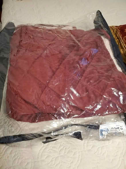 Photo of free Comforter and Pillows (Ossining) #2