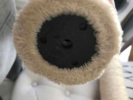 Photo of free Cat Scratching Posts (Posts only) (Congleton CW12) #4