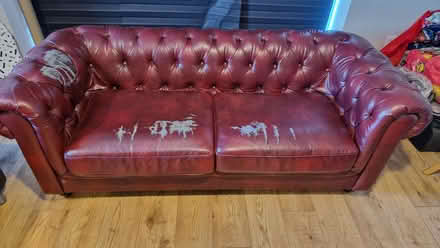 Photo of free Chesterfield Sofas With Some Rips. (Patchway BS34) #1