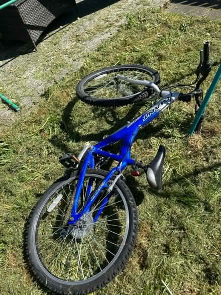 Photo of free Bike (WIbsey) #1