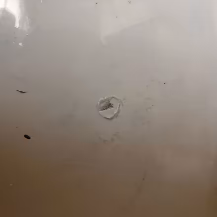 Photo of free Damaged bath (Newcastle-under-Lyme, ST5) #4