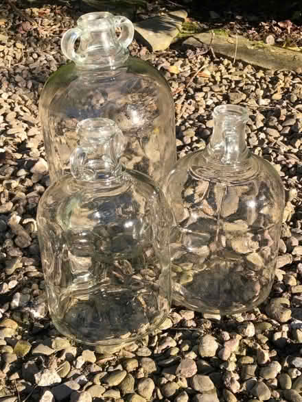 Photo of free Three Demijohns (Forest Wood LD8) #1