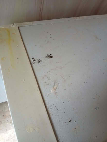 Photo of free Freezer (Leeds LS16) #3