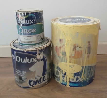 Photo of free Paint (Cambridge CB3) #1