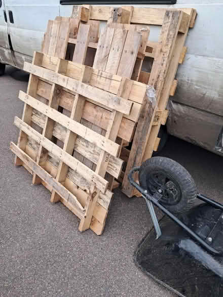 Photo of free Wood for burning , and pallets (Lower Green TN2) #3