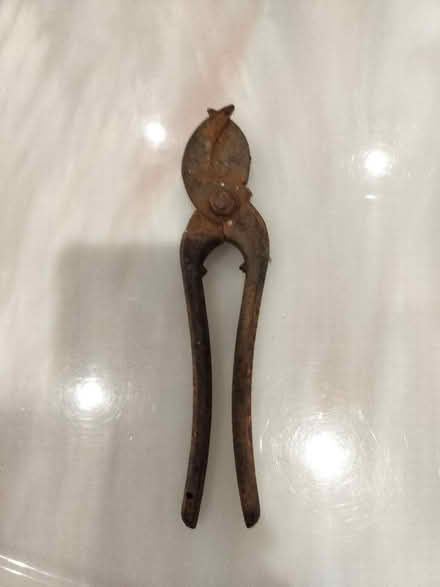 Photo of free Rusty iron secateurs (Southcote RG1) #2