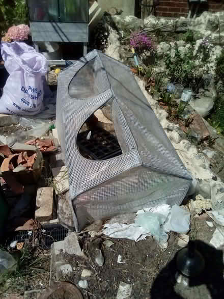 Photo of free Mini Greenhouse (Taverham NR8) #1