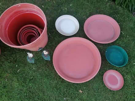 Photo of free Garten Pots, Trays, Various items (Easington OX16) #4