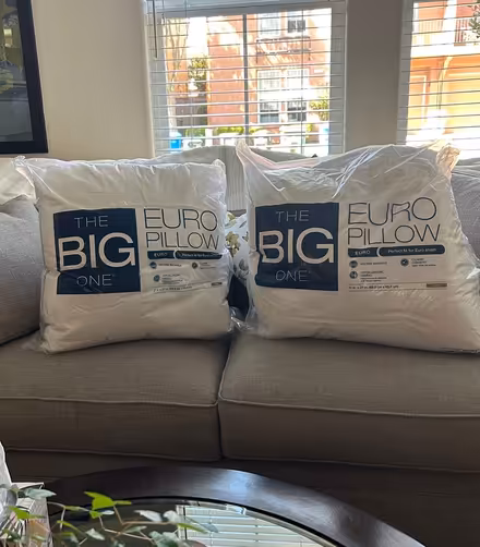 Photo of free Two Euro Pillows (Novato) #1
