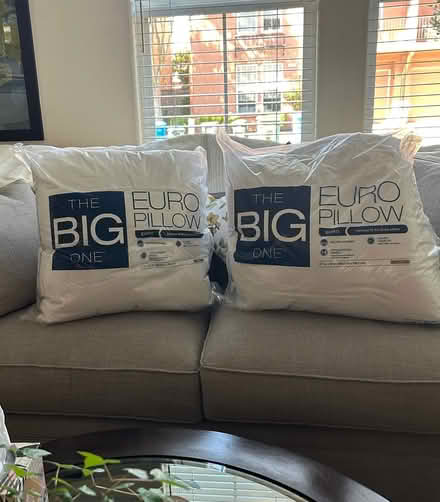 Photo of free Two Euro Pillows (Novato) #1