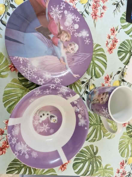 Photo of free Frozen ceramic plate/bowl/cup (SK14) #2