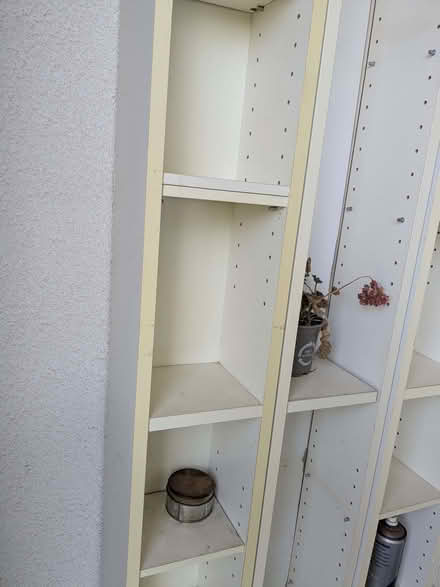 Photo of free Outdoor shelving (islington N1) #3