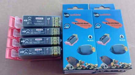 Photo of free Canon PIXMA black ink cartridges (C525B & C526B) (Portslade by Sea BN41) #1