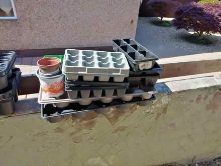 Photo of free Various plant pots (Lancaster Vale LA1) #1