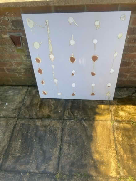 Photo of free Glass Splashback (Brighton BN1) #3