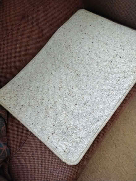 Photo of free New, bound edge carpet offcut (Allerton L18) #1