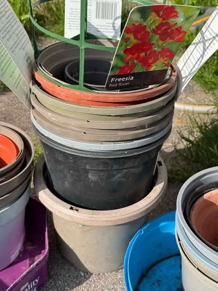 Photo of free Plant pots (Sefton L31) #4