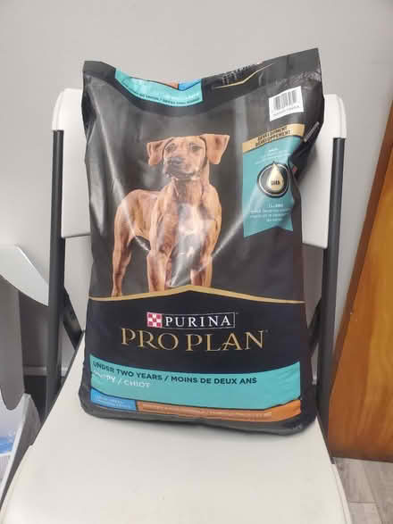 Photo of free Puppy Food (Georgetown) #1