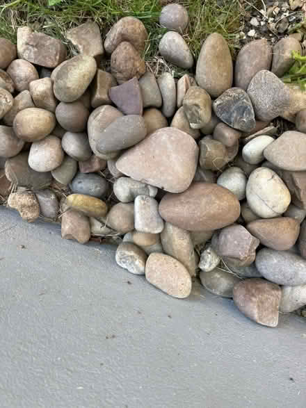 Photo of free Stones/pebbles (Barnet EN5) #1