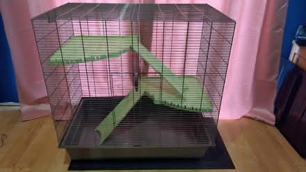 Photo of free Rat cage (Washington NE38) #1