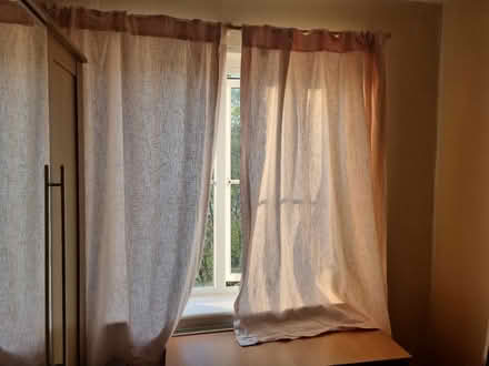 Photo of free Pink curtains (Bangor LL57) #1