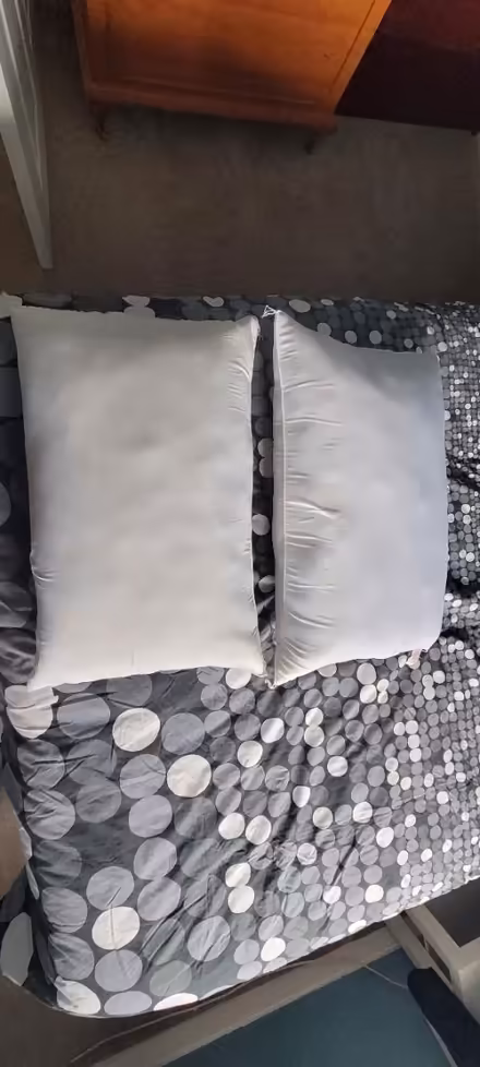 Photo of free High firm pillows (Driffield YO25) #1