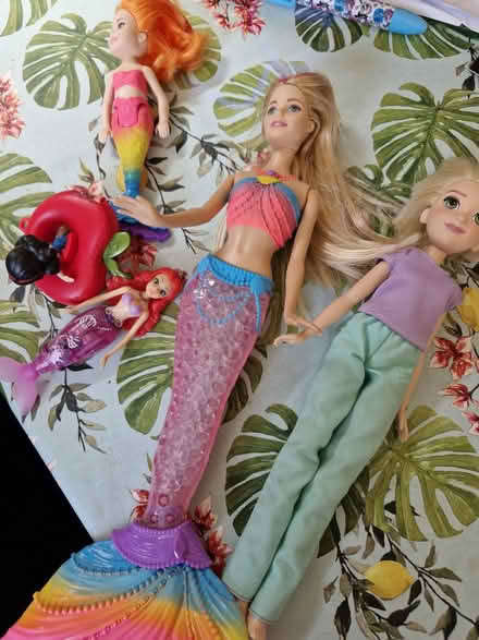 Photo of free Bath barbies and other doll (SK14) #1