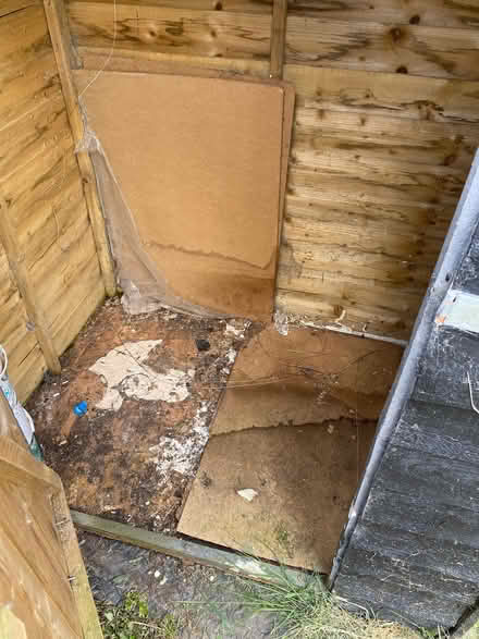 Photo of free Small shed (Oxleaze GL1) #2