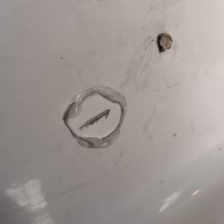Photo of free Damaged bath (Newcastle-under-Lyme, ST5) #3