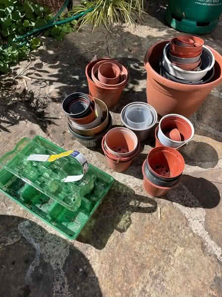 Photo of free Plant pots for planting out (GU14) #1