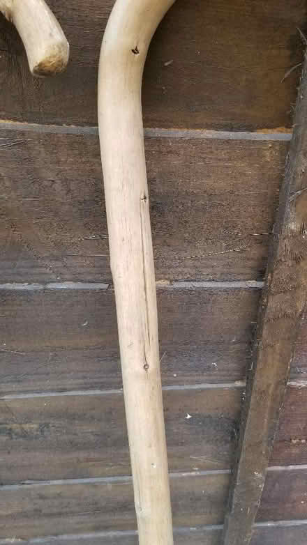 Photo of free Wooden Walking stick x 2 (Binfield RG42) #2