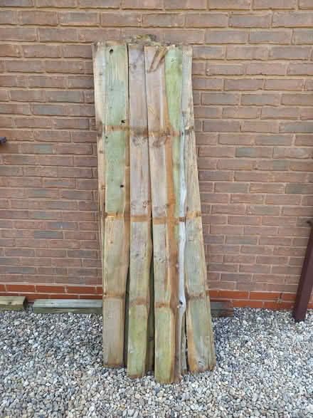 Photo of free Quantity of Larch Lap panel boards (Bransford WR6) #1