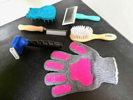 Photo of free Cat bowls and combs/brushes (Wedgwood) #3