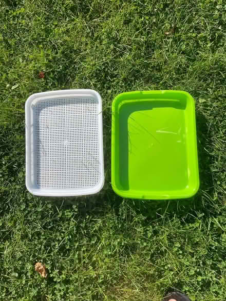 Photo of free Sprouting tray (AB51) #1