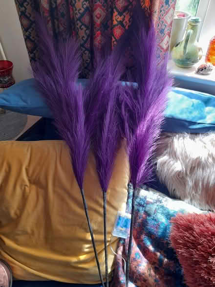 Photo of free Artificial Pampas x 3 pieces with battery lights. (Otford TN14) #1