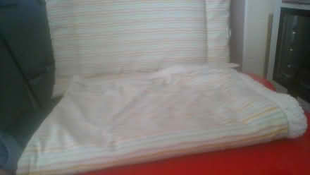Photo of free petsathome puppy/kitten set (BA2) #2