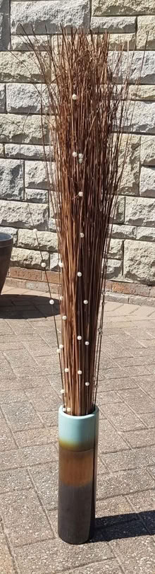 Photo of free Tall Cylindrical Vase with Branches (Euxton PR7) #1
