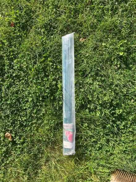 Photo of free Flower support sticks (AB51) #2