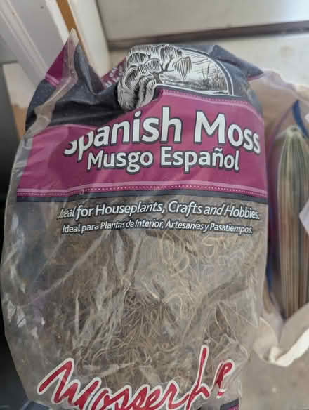 Photo of free Spanish moss (63rd& main, DG) #1