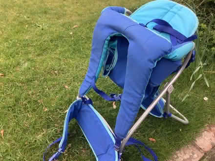 Photo of free Tomy Baby Carrier (Fernhill GU17) #1