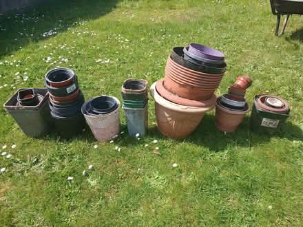 Photo of free Plastic plant pots (Dawlish) #1