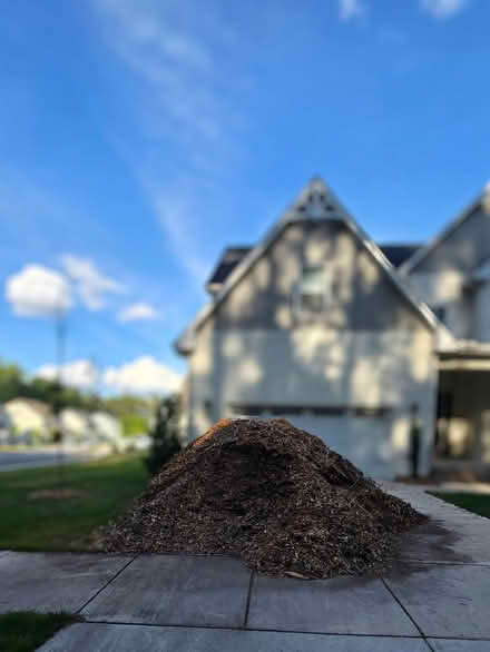 Photo of free Wood chips (White Oak Church Rd Apex) #1