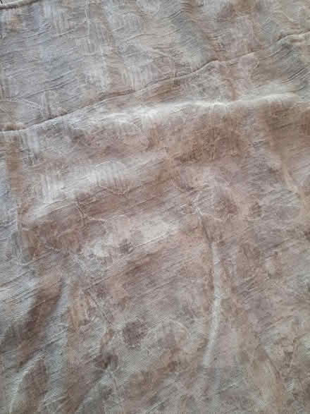Photo of free Pair of Next curtains (Tonbridge road,Maidstone) #2