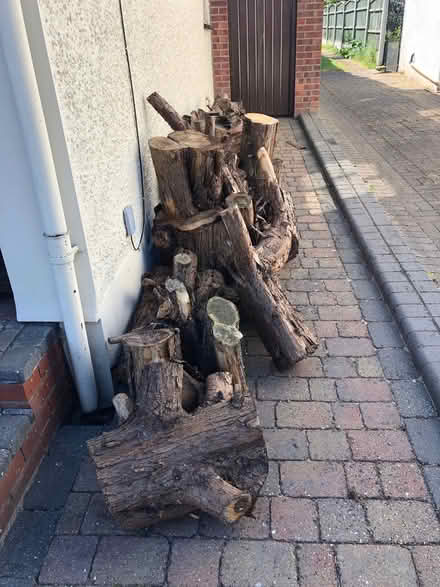 Photo of free Seasoned wood for burning (Gidea Park RM11) #1