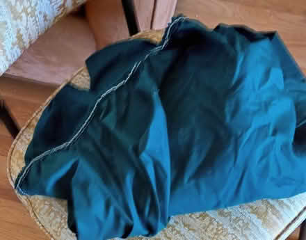 Photo of free Green Bottom Sheet for Twin Bed (Birdland) #1