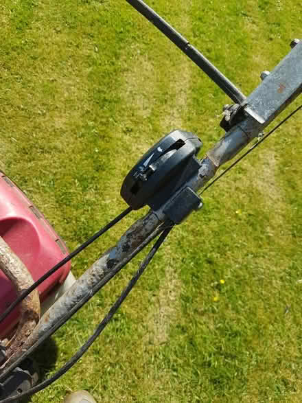 Photo of free Petrol mower (Swyre) #3