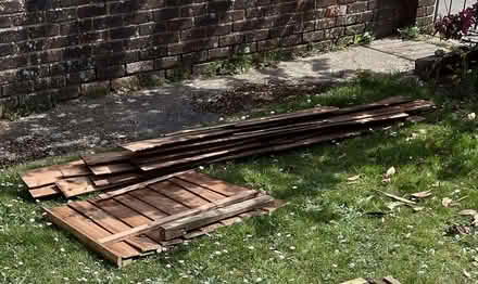 Photo of free Old fence panels (North Bersted PO22) #2