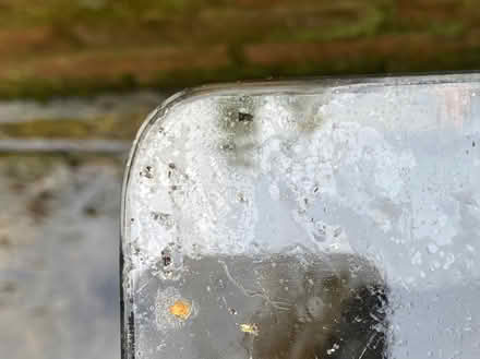 Photo of free Glass Top for Garden Table (Guildford, GU1) #3
