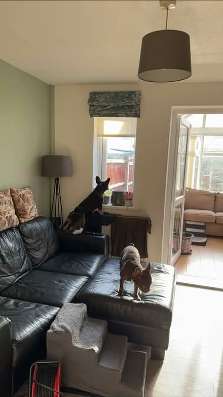 Photo of free Black sofa (Gorton M18) #1